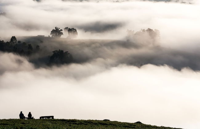 Balingup Heights Hilltop Forest Cottages - Foto 50