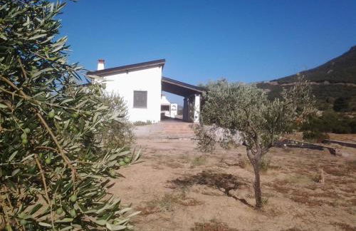 Casa Corofulu Oliena - IUN P2139 - Foto 21