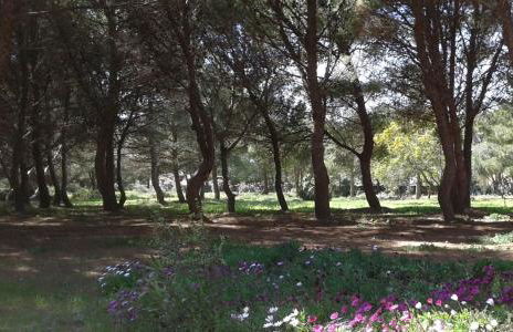 VillA LA PinetA - Foto 25