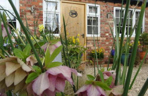 Centre village 2 bedroom cottage - The Byre - Foto 5