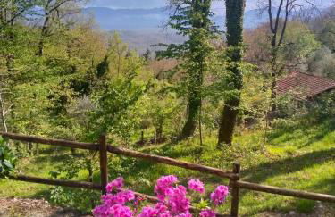 Ca'di Picarasco - Foto 10