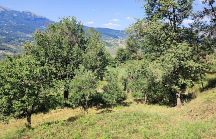 Holiday Country House - Trecchina - Foto 22