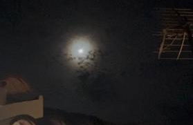 Ático PEÑAMUSGO - Hotel Ruta del Segur - Foto 14