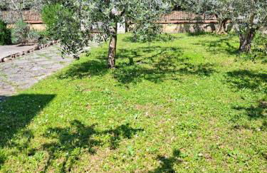 Casa Gli Ulivi - Foto 7