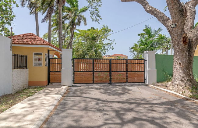 Nianna Chatham - Foto 2