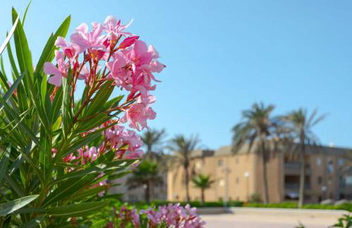 BAJO primera línea playa, Retamar, Cabo de Gata - Foto 56