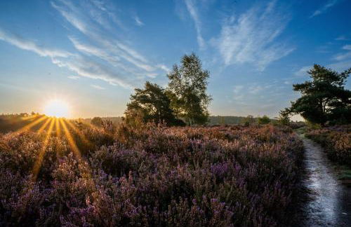 Heidehof Oberhaverbeck - Foto 47