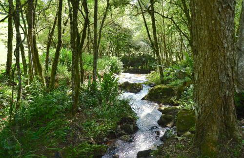 Villa Italia Hospedagem - Photo 87