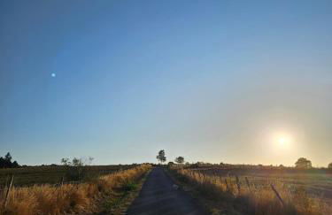 Le Saint-Jean - Foto 31