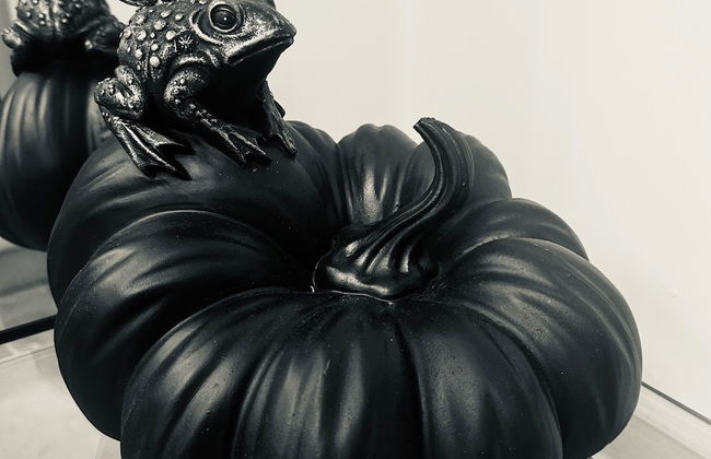 Full Apartment With Secure Parking Great Views - Foto 35