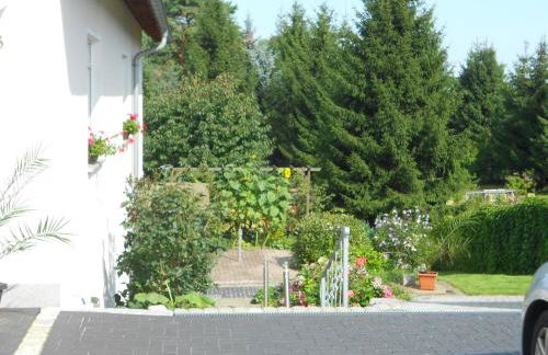 Crosta Brava - Foto 2