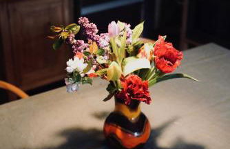 Apfelhof Biesenbrow - Foto 16