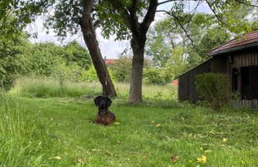 Ferienwohnungen Hollerberg Wohnung 2 - Photo 15