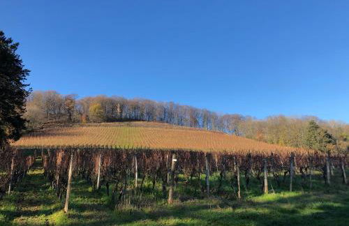 Gîte des Vignes à Viéville-sous-les-Côtes Escapade nature et patrimoine Meuse - Foto 25