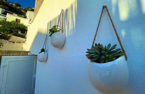 CASA MÚA - Photo 56