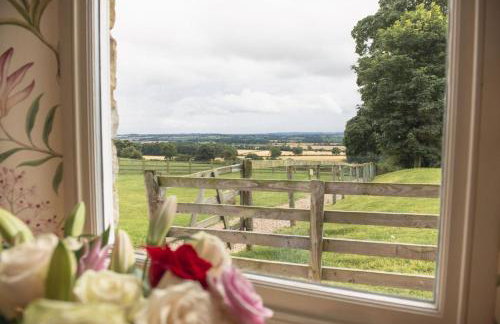 Winsbury Cottage - Photo 11