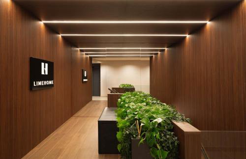 Limehome Bilbao Juan Antonio Zunzunegui - Foto 67