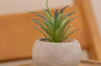 Evaggelia's Apartments 2 Διαμονή σαν το σπίτι σας - Foto 23