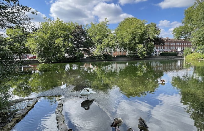 Immaculate 1-bed Apartment in Orpington - Foto 10