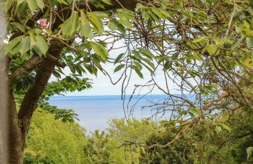 Lisle Combe Cottage - Photo 49