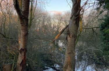 A charming unique lodge, with log burner and incredible views - Foto 18