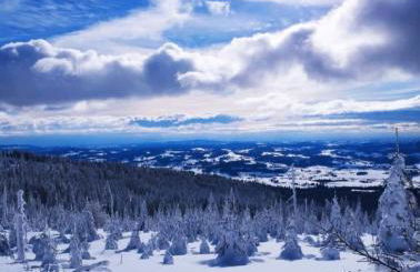 Traumblick Bayerischer Wald, Pool & Sauna, Getränke, Klimaanlage - Foto 49