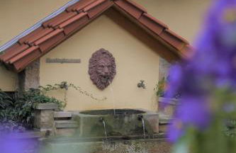 Winzerhof Schwerdt - Foto 23