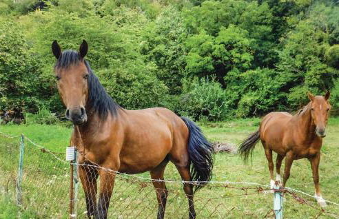 Casa Di Ettore - Foto 35