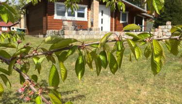 Eichberg Ferienhäuser - Foto 5