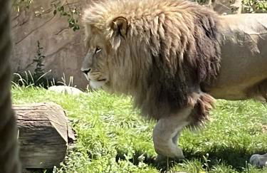 Gîte Du Centre - Foto 26