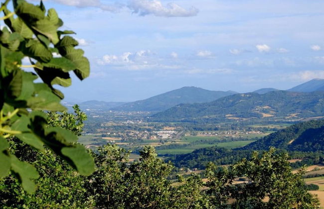 Pet-friendly Farmhouse - Foto 28