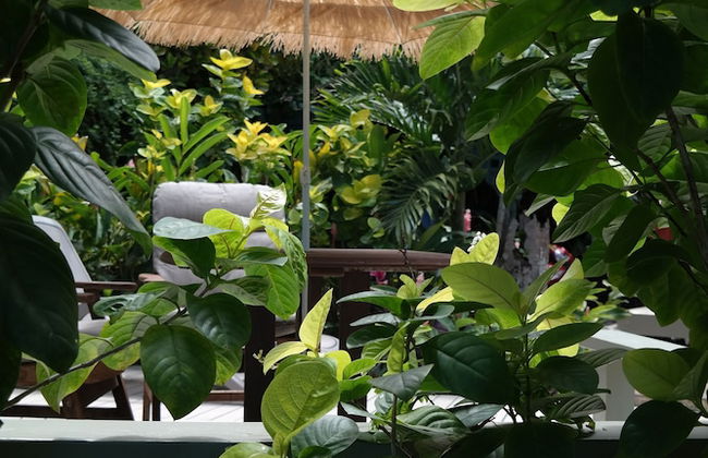 Muri Retreat - Photo 3