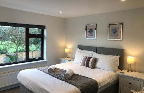 Arniss New Forest - Photo 16