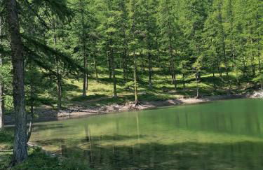 CŒUR D'ALTAÏR RISOUL 1850 Appartement T2 confortable skis aux pieds - Foto 37