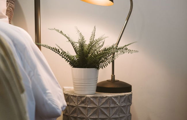 QuickStay - Sunlit Luxury Loft on King West - Foto 5