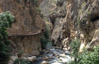 Cuevas Helena - Foto 84