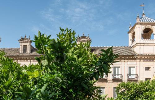 CSE Santa Maria Apartments - Foto 49