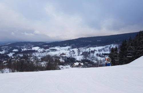 Chata Rafusa pod Śnieżnikiem - Foto 32
