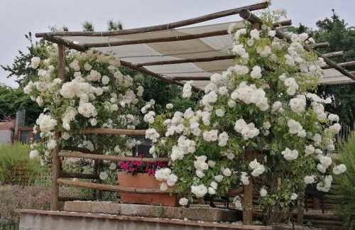 Podere del Papa - Photo 36