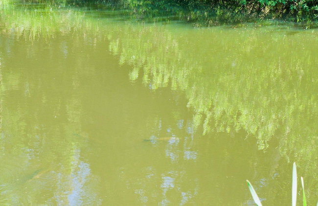 7 Person Holiday Home in Hornbaek-by Traum - Foto 44