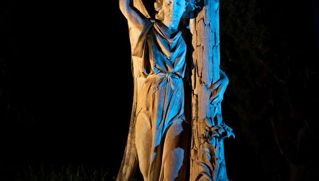 Tour in Málaga - Photo 5