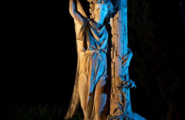 Tour in Málaga - Photo 5