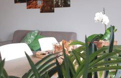 Green House - Photo 18