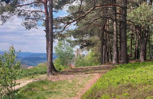 Helle, lichtdurchflutete Ferienwohnung im Herzen des Bayerischen Waldes, Nationalparknähe - Foto 28