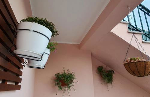 Rosinha Country House - Foto 32