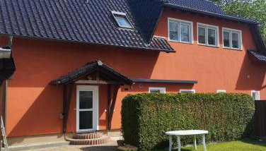 Alter Konsum - Foto 2, Garden