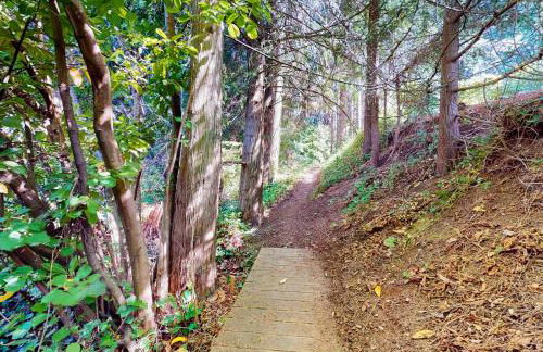 Calamity Cabin - Foto 27