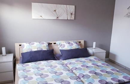 Nähe Mainz - Ferienwohnung - Apartment Breivogel in Wörrstadt - Foto 2