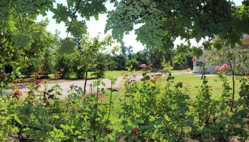 Sani Kasimis - Foto 5