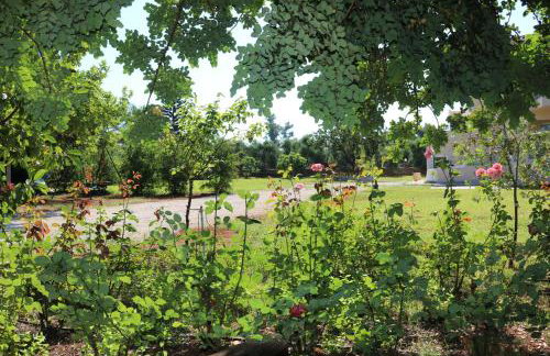 Sani Kasimis - Foto 5